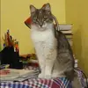 Отзыв от Прасковья Боброва